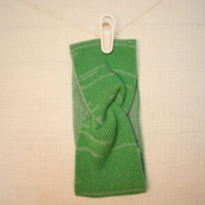 Zebra headband green
